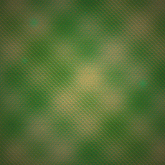 The Choreographic Cartographer