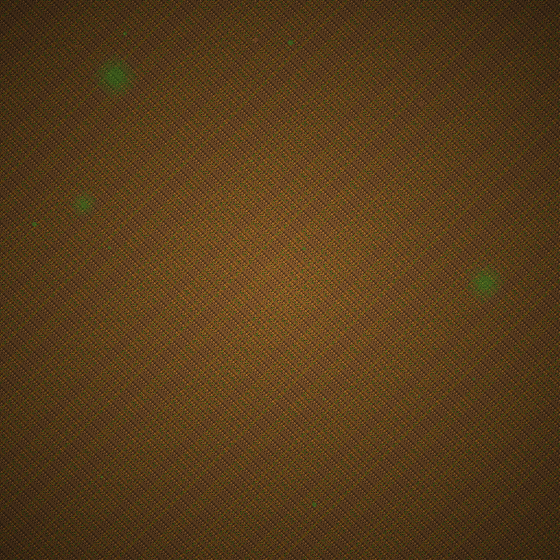 The Absence Monumentalist